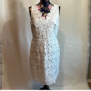 Anne Taylor Loft White Lace Engagement Party Dress